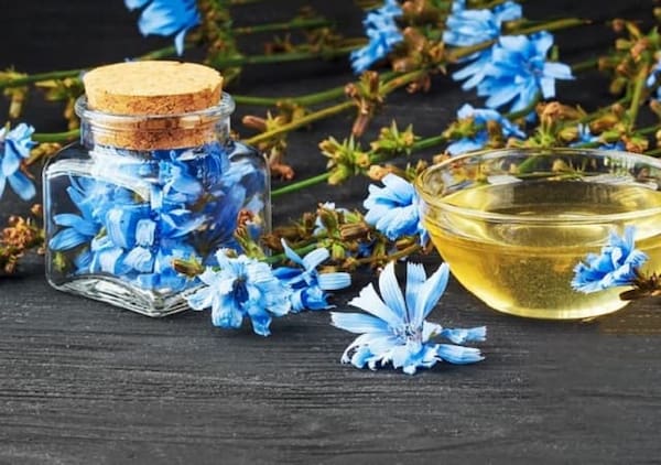 تصویر 2 از قیمت خرید شربت کاسنی و گلاب + فروش ویژه